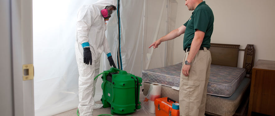 Stamford, CT mold removal process